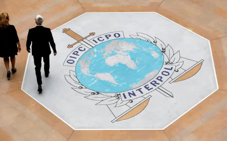 Interpol cybercrime crackdown in Africa leads to the arrest of over 1,200 suspects