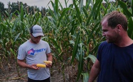 To get that perfect ear of corn, weather has to cooperate. But climate change is making it dicier