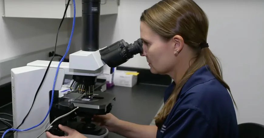 U.S. scientists work to preserve vulnerable species at a Smithsonian lab