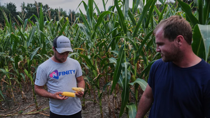 To get that perfect ear of corn, weather has to cooperate. But climate change is making it dicier
