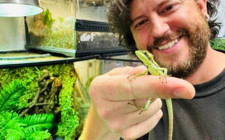 Iguana shocks zookeepers with "virgin birth" of 8 hatchlings