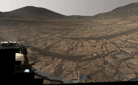 New NASA Mars rover findings provide strong hints of potential signs of ancient life