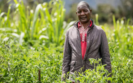 How Malawi is taking AI technology to small-scale farmers who don't have smartphones