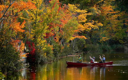 Day and night get equal billing Monday as fall equinox arrives. Here's what to know