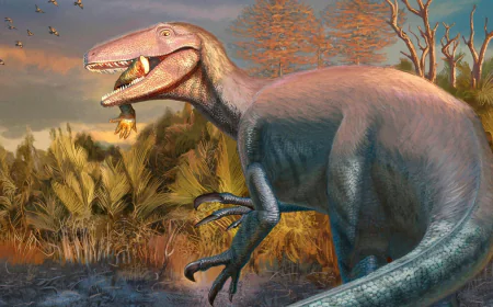 Newly discovered dinosaur had a crocodile leg in its jaws