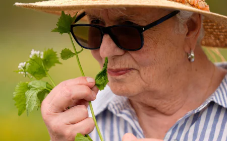 Foraging revival: How wild food enthusiasts are reconnecting with nature