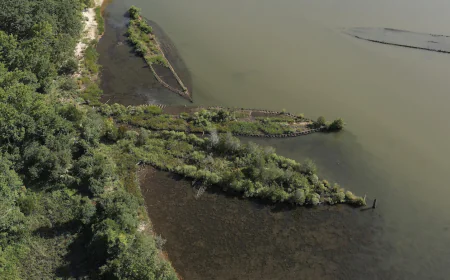 Scientists find marine life thriving on World War II explosives in the Baltic Sea