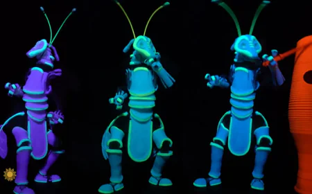 Why crickets are as good as a thermometer