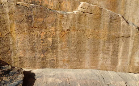 Scientists find ancient life-size animal rock carvings in the Saudi Arabian desert