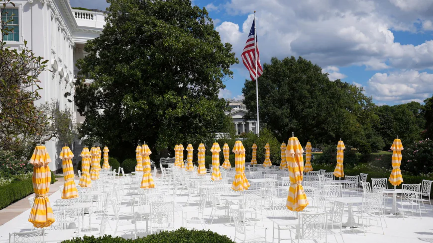 Trump will host top tech CEOs except Musk at a White House dinner