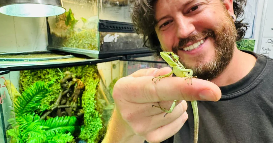 Iguana shocks zookeepers with "virgin birth" of 8 hatchlings