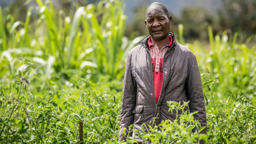 How Malawi is taking AI technology to small-scale farmers who don't have smartphones