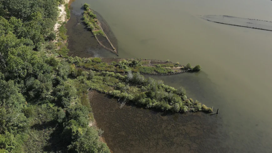 Scientists find marine life thriving on World War II explosives in the Baltic Sea