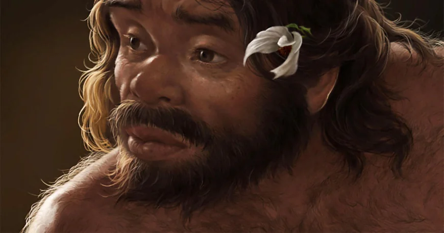 Million-year-old skull could rewrite human evolution timeline