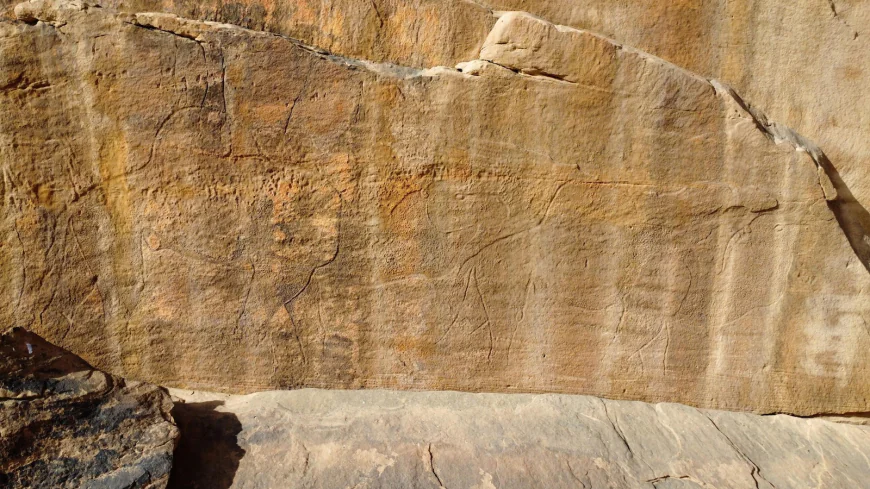 Scientists find ancient life-size animal rock carvings in the Saudi Arabian desert