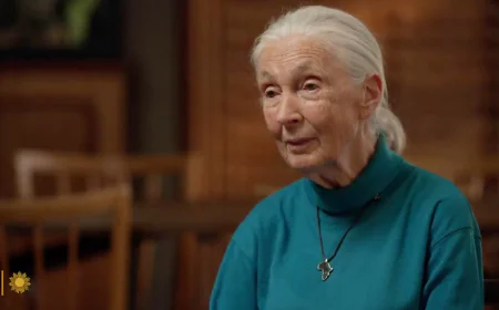 From the archives: Naturalist Jane Goodall