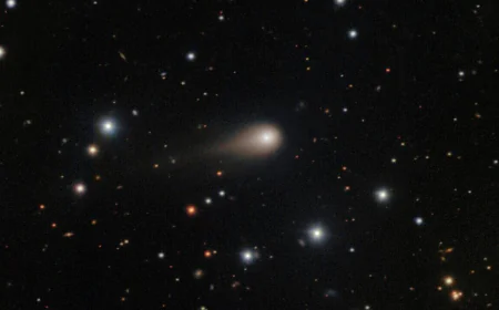 Interstellar comet swinging past Mars as a fleet of spacecraft looks on