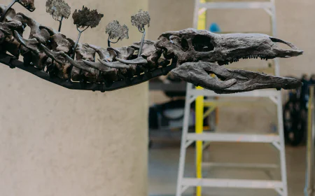 The American Museum of Natural History Moved a Giant Dinosaur. Twice.