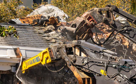 As Trump Moves Forward With White House Ballroom Project, Architects Raise Concerns