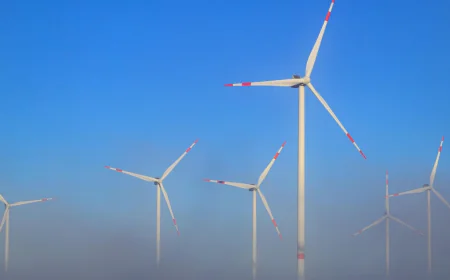 Global climate change limit efforts off-track for 2030 goals, new report shows