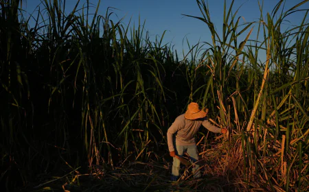 In a California farming region, researchers are mapping rural heat to protect farmworkers