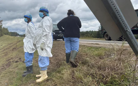 Monkey escape gives a glimpse into the secretive world of animal research