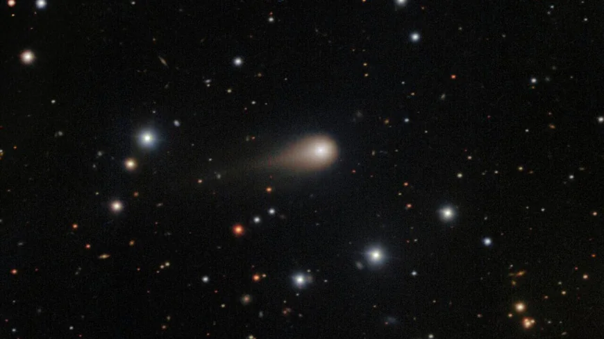 Interstellar comet swinging past Mars as a fleet of spacecraft looks on