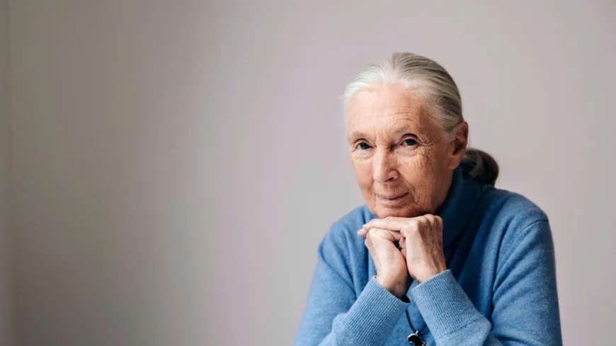 Goodall's influence spread far and wide. Those who felt it are pledging to continue her work