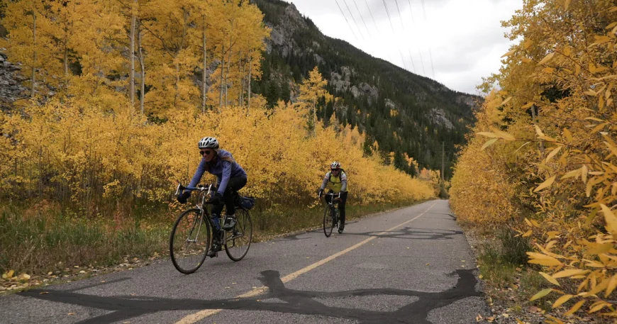 Fall foliage colors muted in several regions due to drought