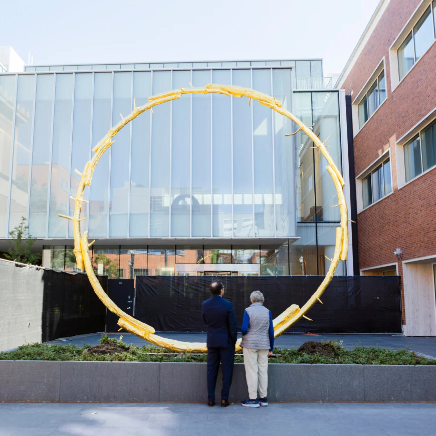Bringing the Portland Art Museum Back to Life