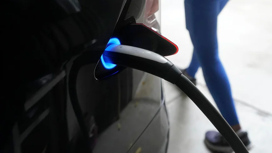 5 ways AI can help the environment, even though it uses tremendous energy