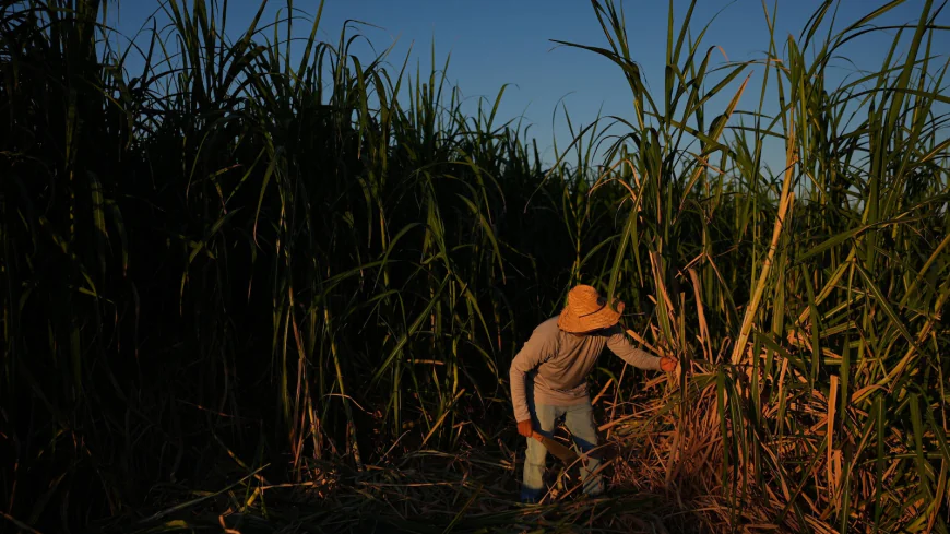 In a California farming region, researchers are mapping rural heat to protect farmworkers