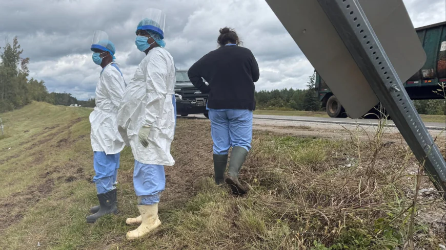 Monkey escape gives a glimpse into the secretive world of animal research