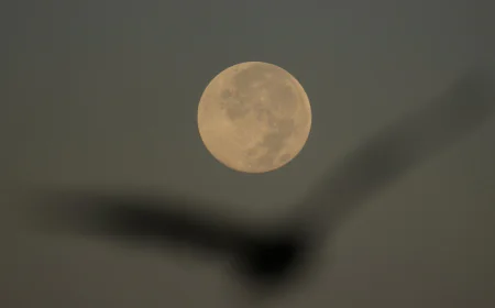 How to spot November's supermoon, the closest of the year