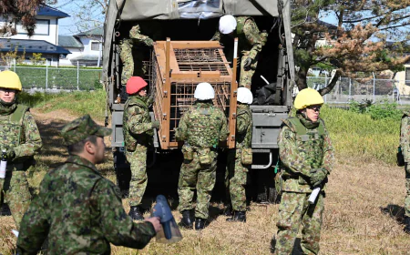 Japan sends troops to northern region to stop bear attacks after record casualties