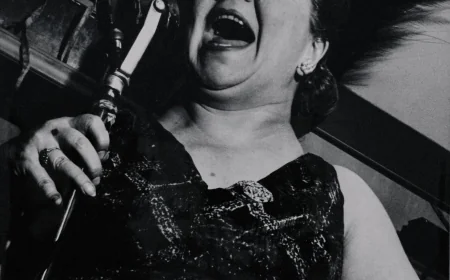 Pioneering U.S. Street Photography, With Vienna in the Background