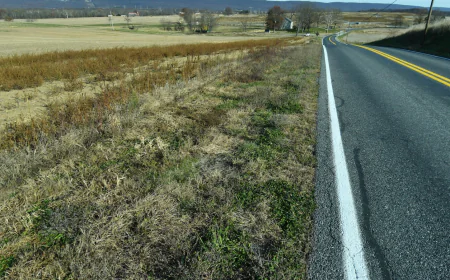 Future data centers are driving up forecasts for energy demand. States want proof they'll get built