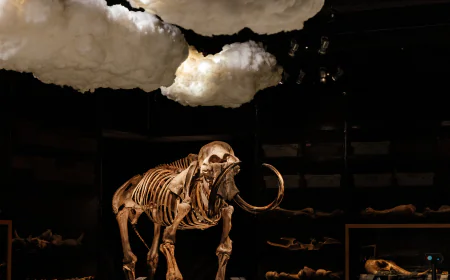 A Day at the Beach Hunting Mammoths