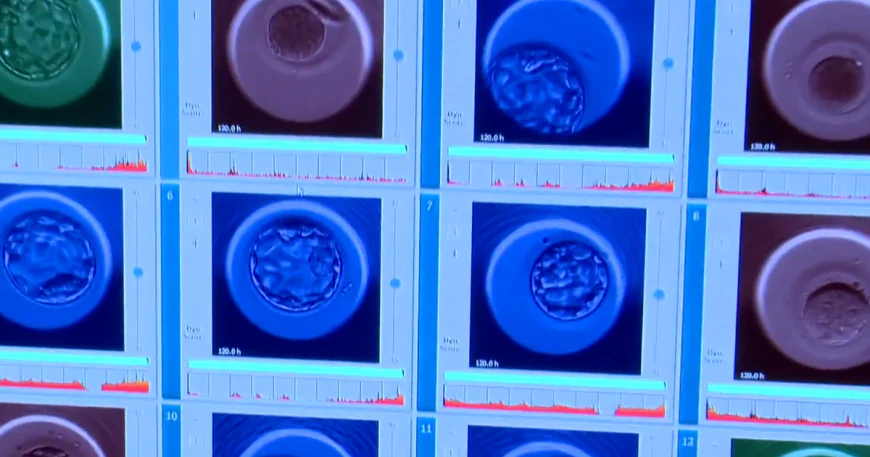 New embryo testing company says it can predict lifespan, height and IQ of potential children