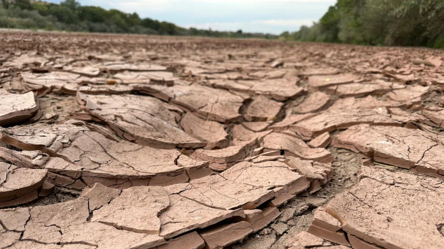 A drying-up Rio Grande basin threatens water security on both sides of the border