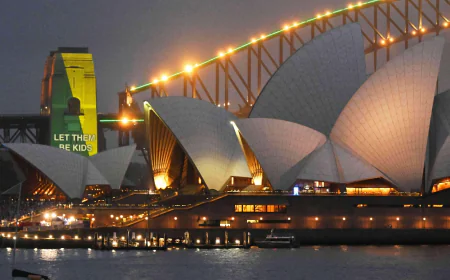 Reddit challenges Australia's world-first law banning children under 16 from social media