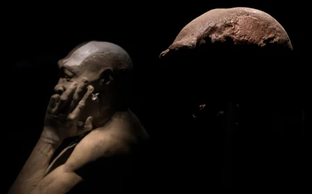 Dutch Return ‘Java Man’ Bones, With 40,000 Fossils Set to Follow