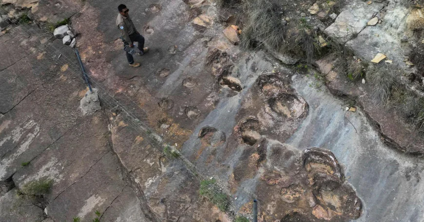 Fossil footprints in Bolivia reveal dinosaurs' awkward attempts to swim