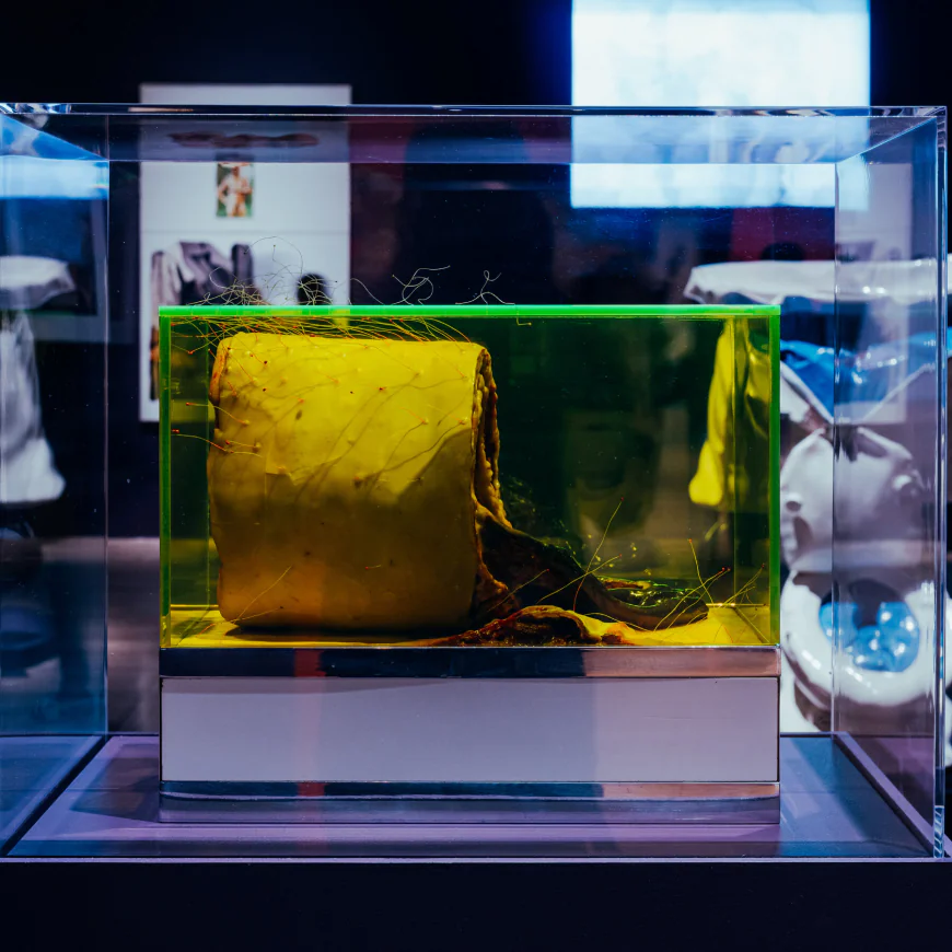 Turn On, Tune In … Cop Out? ‘Sixties Surreal’ Teases at the Whitney.