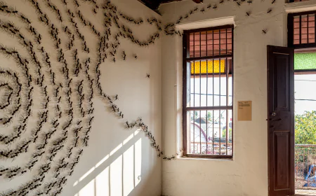 At the Kochi Art Biennale, South Asia Meets Brazil