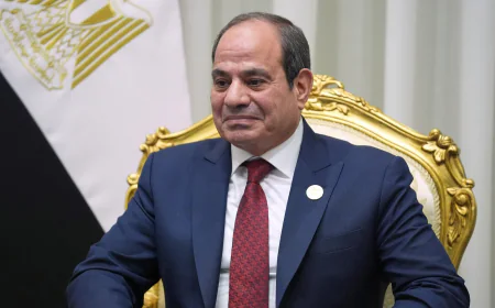 Egypt to adopt restrictions on children’s social media use to fight 'digital chaos'