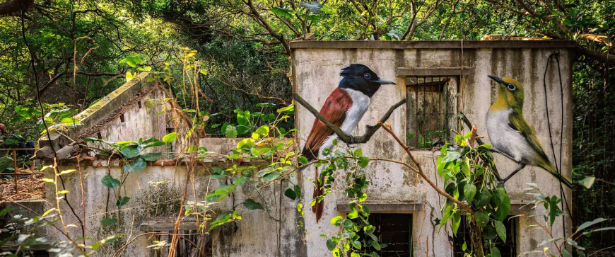 Across the forgotten walls of a Hong Kong island, a flock of bird murals rises