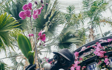 Who Is That Masked Man? The Orchids Aren’t Telling.